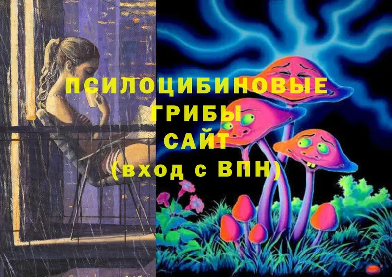 ссылка на мегу   Севастополь  Псилоцибиновые грибы Magic Shrooms 